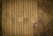 Aerial Drone image of Corn Combine harvesting in Indiana Corn Fieldg