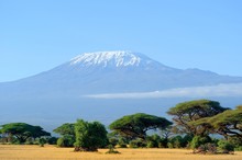 Mount Kilimanjaro -the Roof Of Africa, Tanzania