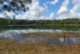 Fototapeta Na ścianę - Beautiful view on the marshes and forests of North Florida nature