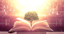  The Blurred Book That Is Bewitched With Magic, The Magic Light In The Dark, With The Bright Light Shining Down As The Power To Search For Knowledge. For Research And Use As A Blurred Background