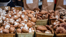Mushrooms Variety At An Open Air Farmers Market Stall