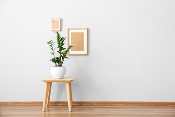 Houseplant on table near white wall in room