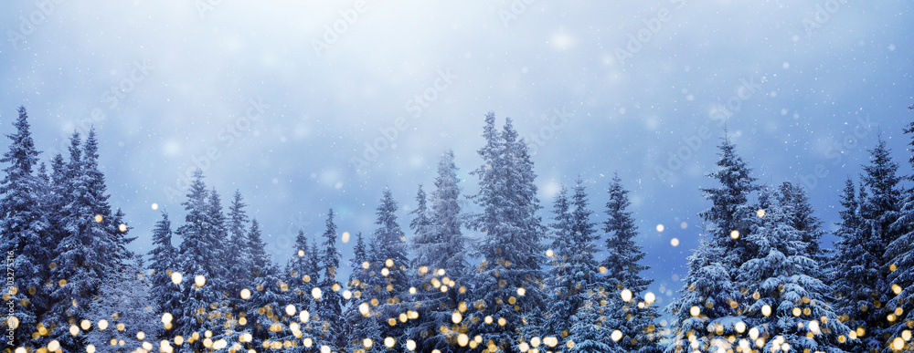 Weihnachtswald-Banner, Hintergrund für Weihnachten und Neujahr mit goldenen Lichtern vor verschneitem Tannenwald und viel Textfreiraum - obrazy, fototapety, plakaty 