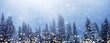 canvas print picture - Weihnachtswald-Banner, Hintergrund für Weihnachten und Neujahr mit goldenen Lichtern vor verschneitem Tannenwald und viel Textfreiraum
