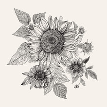 Vintage Floral Composition. Autumn. Sunflower, Dahlia And Zinnia. Black And White