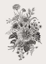 Autumn Flowers. Classic Flower Arrangement. Vector Botanical Floral Illustration. Black And White