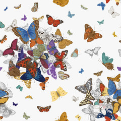 Wall Mural - ..Butterflies. Seamless pattern. Vector vintage classic illustration. Colorful