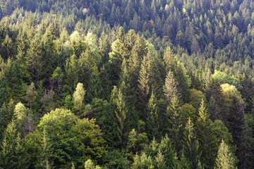  Fantastic trekking of the beautiful French Alps with majestic peaks of rocky mountains.