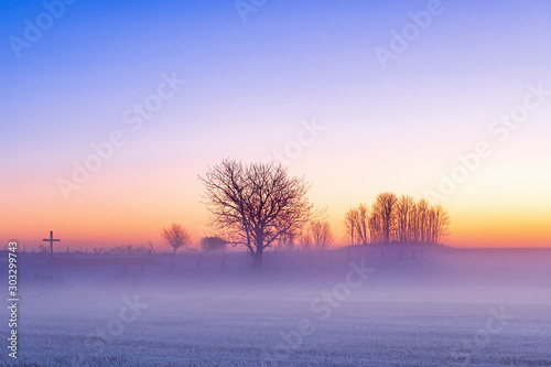 Fotomural Cold mist in sunset in the winter country