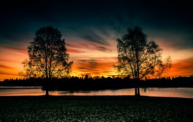 Two three silhouette at sunrise