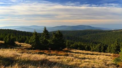 Beautiful landscape with forest and sky on mountains. Pure nature around Jeseníky - Czech Republic - Europe.