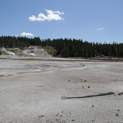 Wall Mural -  yellowstone national park the nature