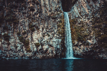 Wall Mural - Salto de la leona dark