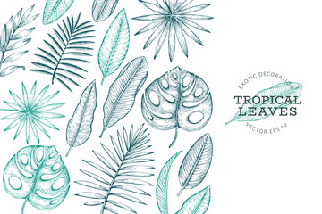 Wall Mural - Tropical plants banner design. Hand drawn tropical summer exotic leaves illustration. Jungle leaves, palm leaves engraved style. Vintage background design