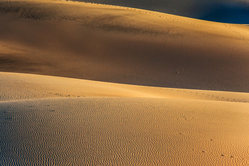 Wall Mural - Light sunset in the desert