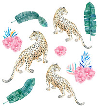 Beautiful Cheetah And Tropical Leaves With Watercolor Illustration On Isolated Background. African Animal, Colorful Clip Art. Jungle Set And Pink Flowers