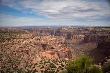 view at canyonlands national park