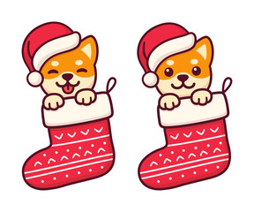 Wall Mural - Puppy in Christmas sock