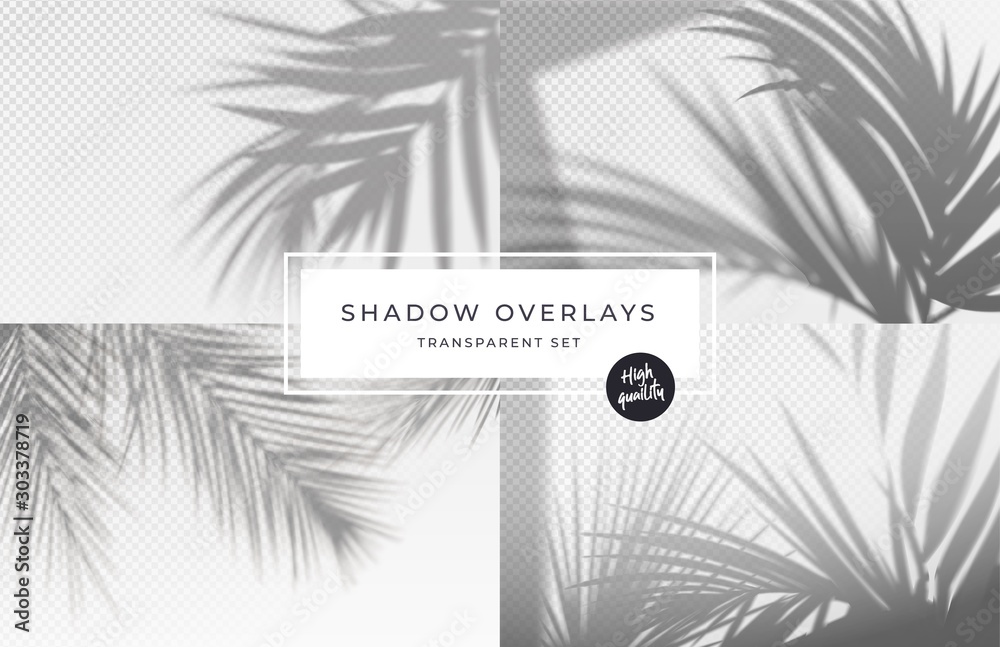 Set of shadow background overlays. Realistic Shadow mock up scenes. Transparent shadow of tropical leaves. Vector illustration - obrazy, fototapety, plakaty 