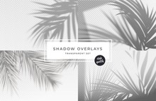 Set Of Shadow Background Overlays. Realistic Shadow Mock Up Scenes. Transparent Shadow Of Tropical Leaves. Vector Illustration