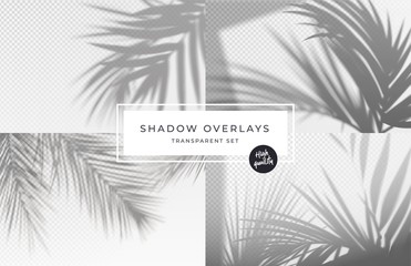 set of shadow background overlays. realistic shadow mock up scenes. transparent shadow of tropical l