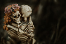 Skeleton Couple In Love And Hug.Love Never Died Concept.Still Life Image Of Human Skeleton Hug And Love Till Death Us Do Part.