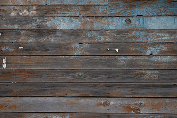 Wall Mural - The texture of an old wall of boards with peeling blue paint