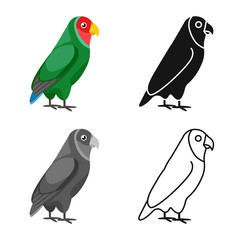 Wall Mural - Vector design of parrot and green symbol. Collection of parrot and brazilian stock vector illustration.