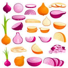 Poster - Onion icons set. Cartoon set of onion vector icons for web design