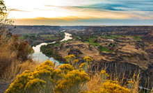 Snake River By Twin Falls At Sunset With Wild Flowers