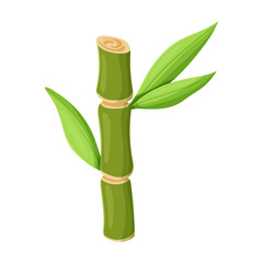 Wall Mural - stem of sugar cane vector icon.cartoon vector icon isolated on white background stem of sugar cane .