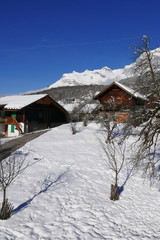 Wall Mural - holiday at the foot of Mont Blanc, France