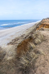 Wall Mural - Quiet North Sea beach