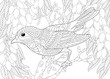 coloring page with bird in the garden