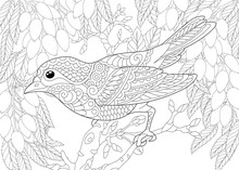 Coloring Page With Bird In The Garden