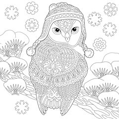 coloring page with winter owl