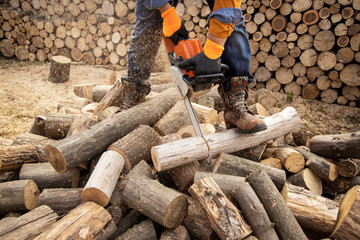 Wall Mural - Chainsaw in action cutting wood. Man cutting wood with saw, dust and movements. Chainsaw. Close-up of woodcutter sawing chain saw in motion, sawdust fly to sides.