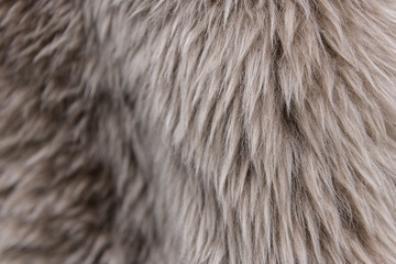 Wall Mural - The texture of beige fur. The fur is beautiful, long hair. Shades of gray - dark and light.
