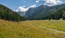Little Meadow Valley (Dolina Małej Łąki) In Tatra Mountains.