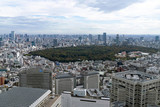 Fototapeta Londyn - 東京都庁から見る新宿の街並み