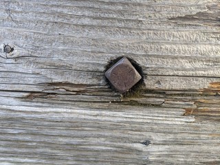 nail in wooden background