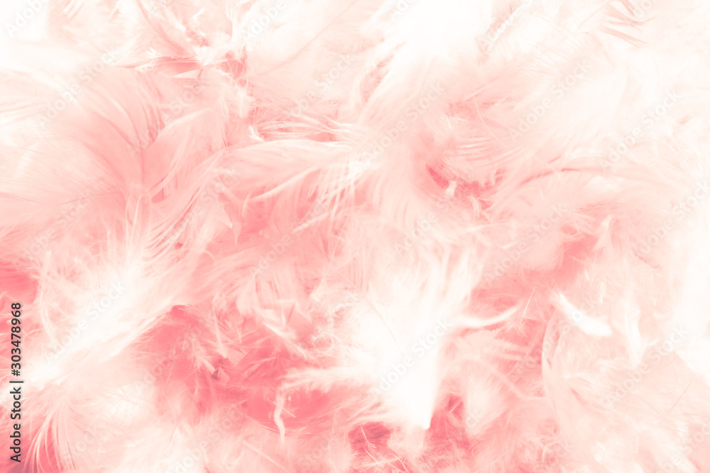 Beautiful abstract light pink feathers on white background,  white feather frame on pink texture pattern and pink background, love theme wallpaper and valentines day, white gradient - obrazy, fototapety, plakaty 