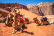 camel in the wadi rum desert, southern jordan