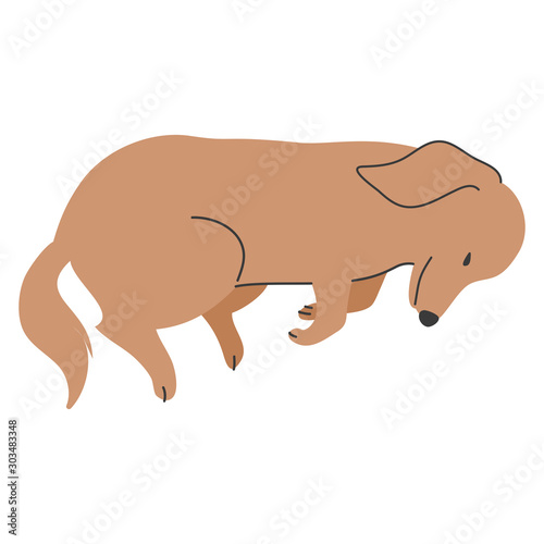 犬 ポーズ 表情 ミニチュアダックスフンド 寝る Vector De Stock Adobe Stock 犬 ポーズ 表情 ミニチュアダックスフンド 寝る Vector De Stock Adobe Stock