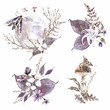 Watercolor mystical compositions. Flowers, moth, moon and plants Brown and violet