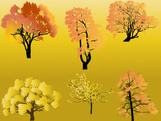 Wall Mural - six fall trees on yellow background