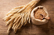wheat ears and grains on a wooden table,