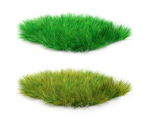 Set Of Yellow Grass And Green, 3d Illustration
