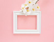 White Photo Frame With White Orchids On The Pink Background. Beautiful White Phalaenopsis Orchid Flowers, Wooden White Photo Frame. Women's Day, Flower Card. Valentine's Day. Flat Lay, Top View
