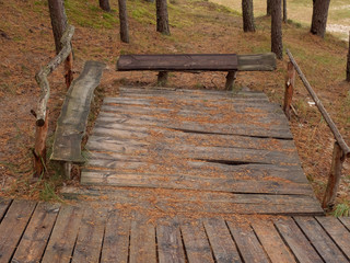 Old wooden bench covered with pine needles in Jurmala, Latvia,